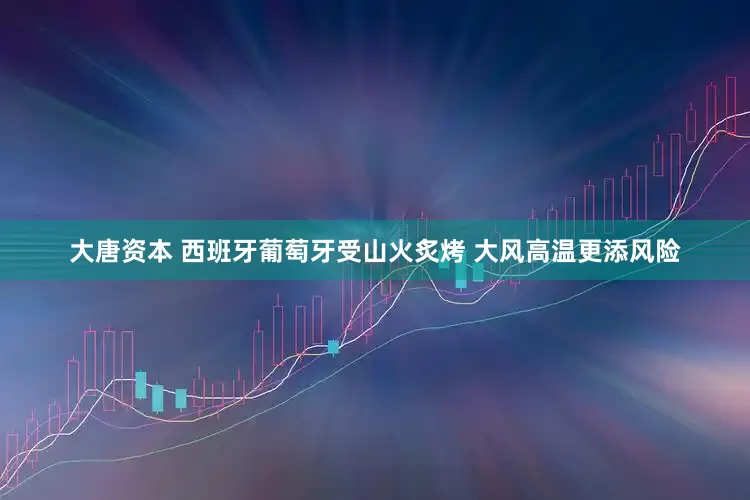 大唐资本 西班牙葡萄牙受山火炙烤 大风高温更添风险